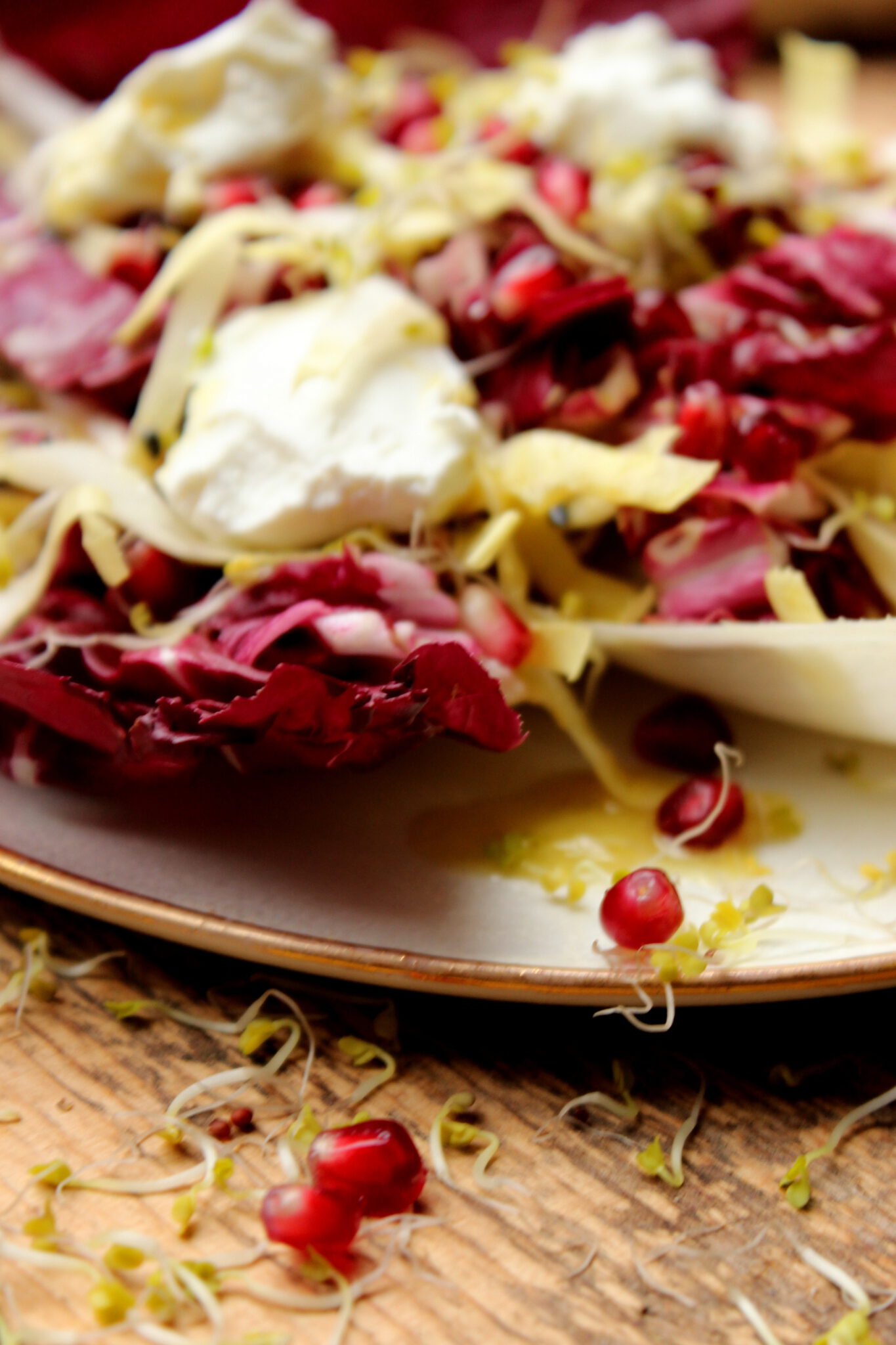 Bitter-Süß - Chicorée-Radicchio-Salat mit Granatapfelkernen