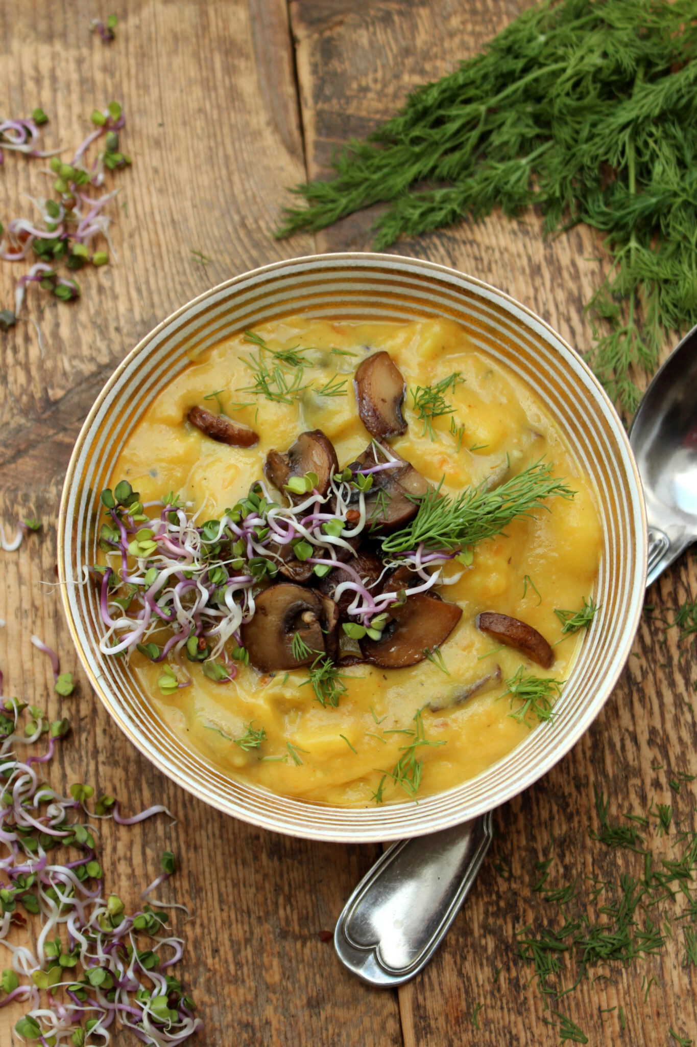 Kartoffel-Karotten-Champignon-Suppe mit Dill und Sprossen