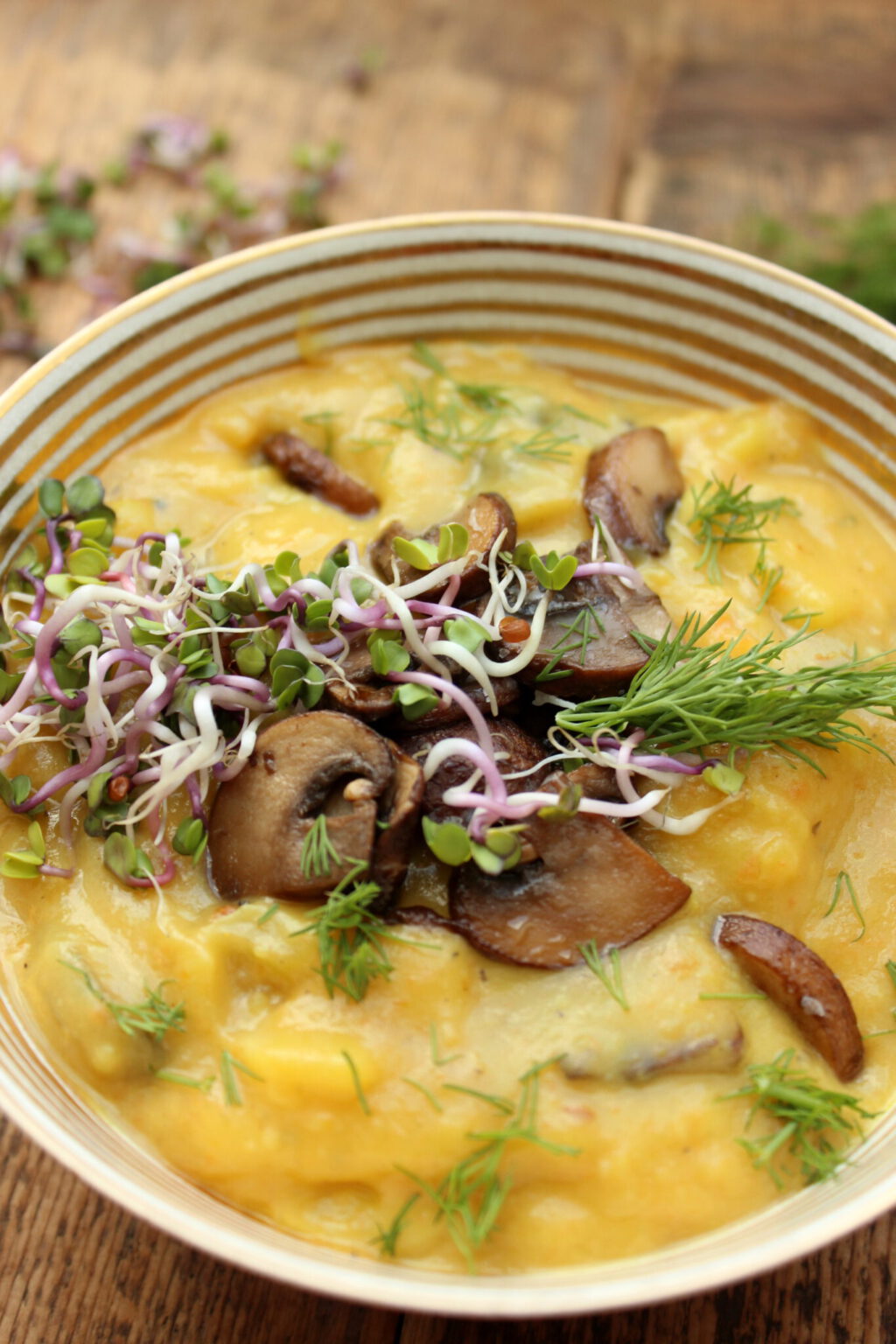 Kartoffel-Karotten-Champignon-Suppe mit Dill und Sprossen Kartoffel-Karotten-Champignon-Suppe mit Dill und Sprossen