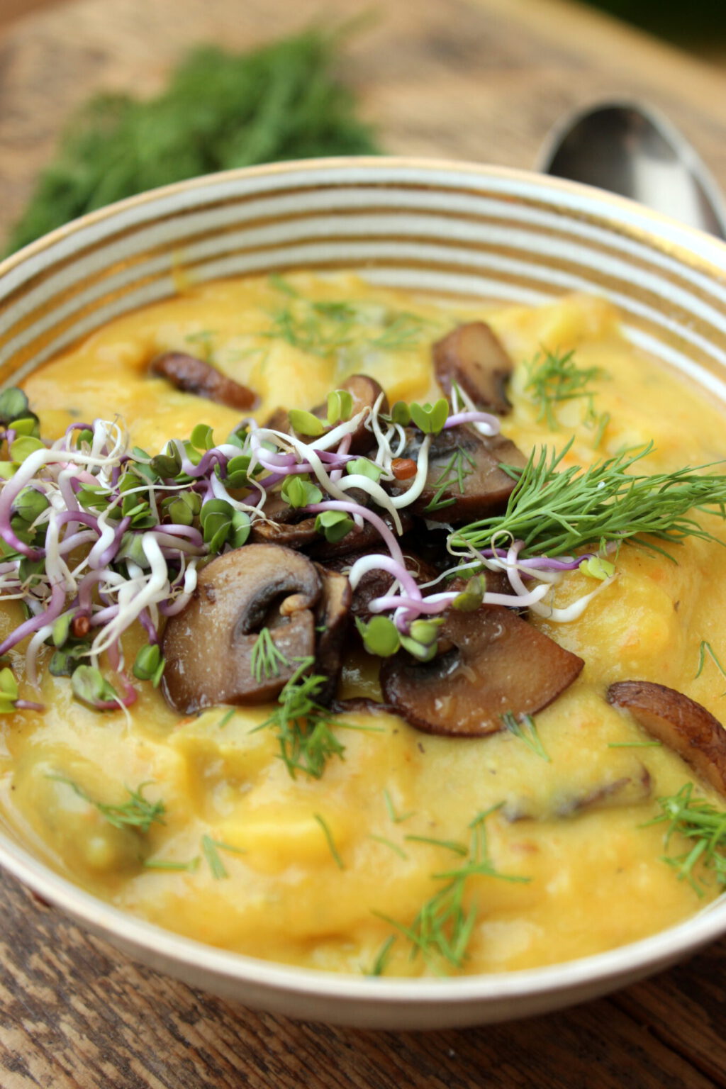 Kartoffel-Karotten-Champignon-Suppe mit Dill und Sprossen
