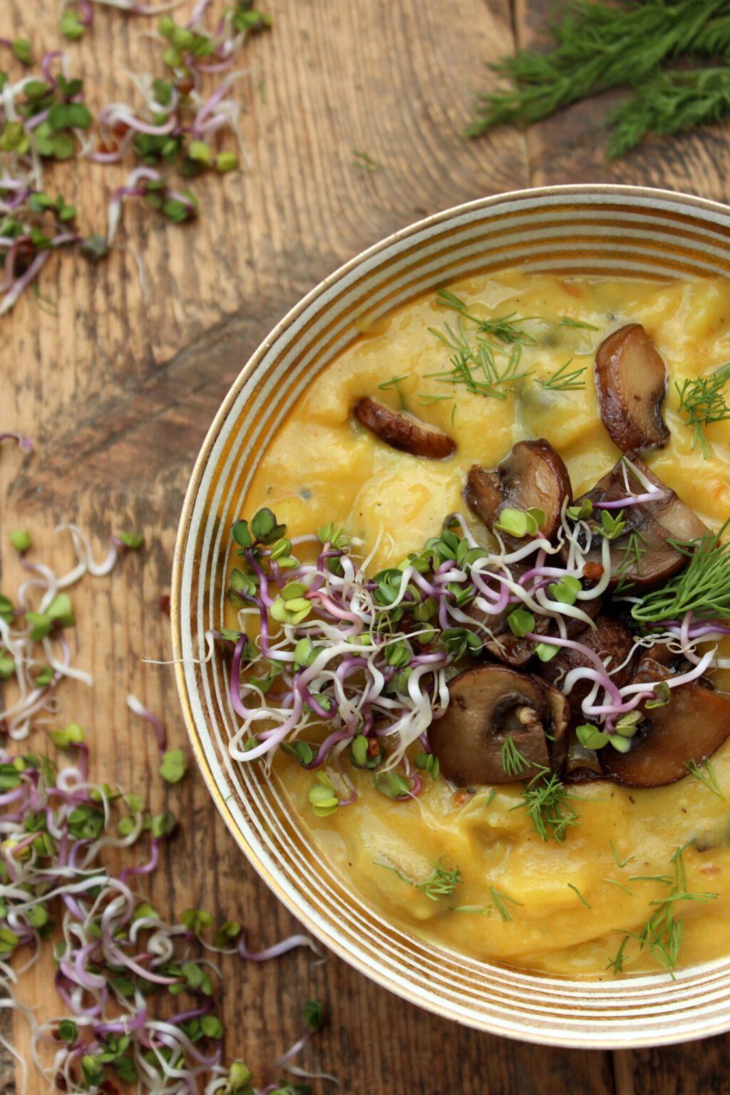 Kartoffel-Karotten-Champignon-Suppe mit Dill und Sprossen