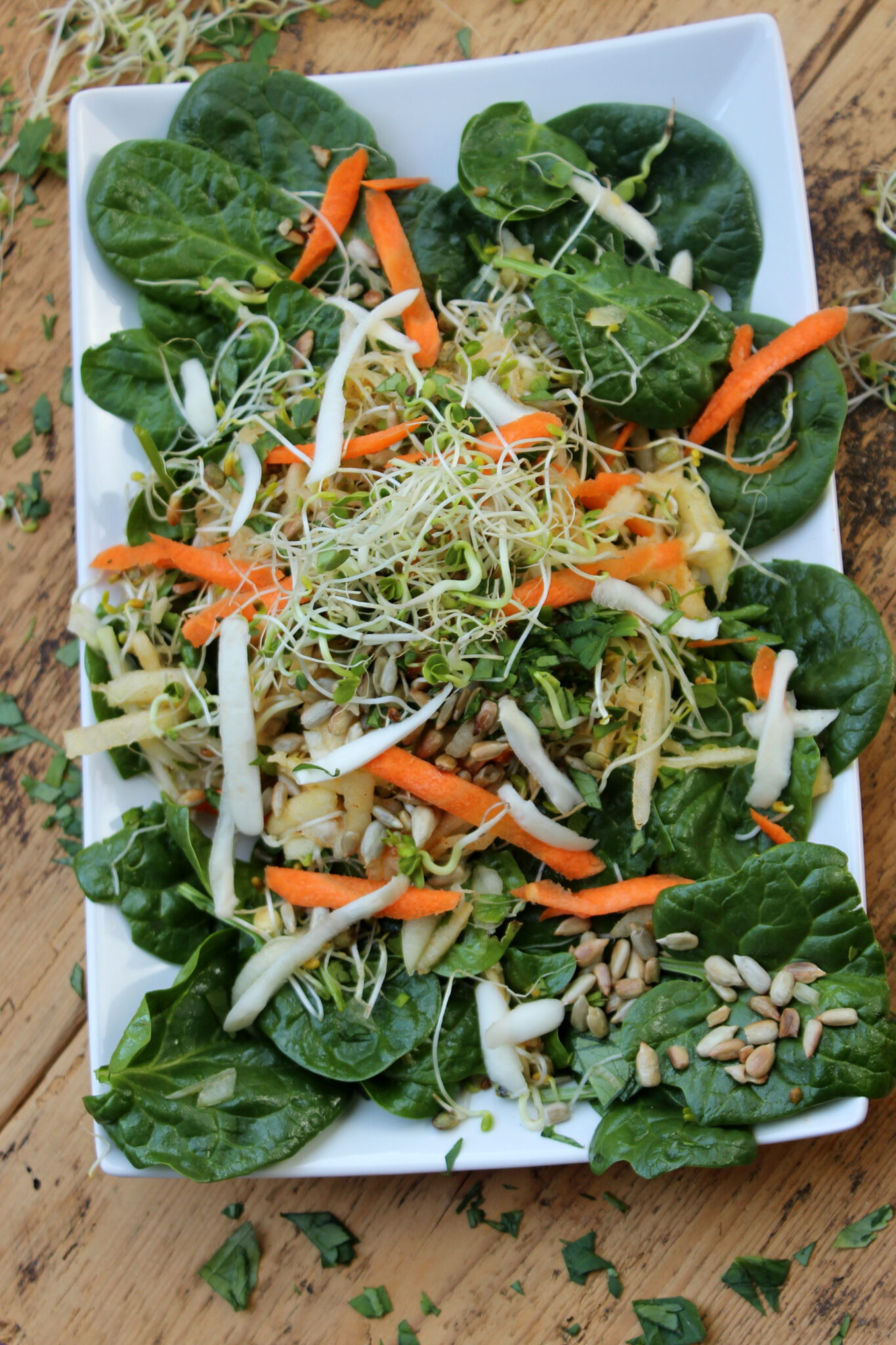 Frühlingssalat mit Sprossen und Kräutern