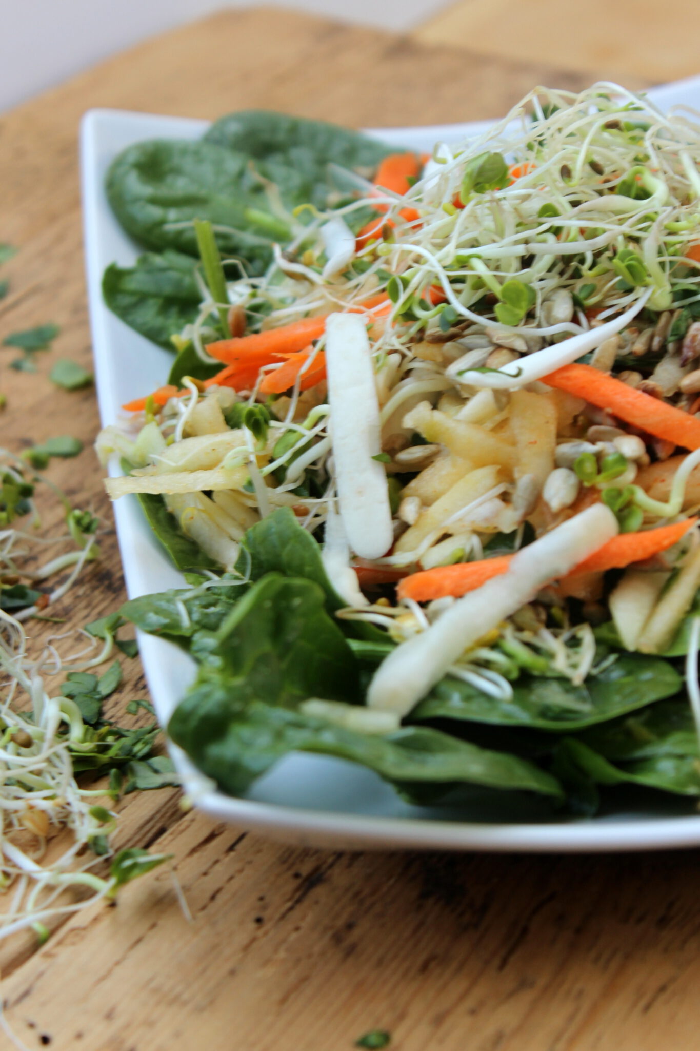 Frühlingssalat mit Sprossen und Kräutern