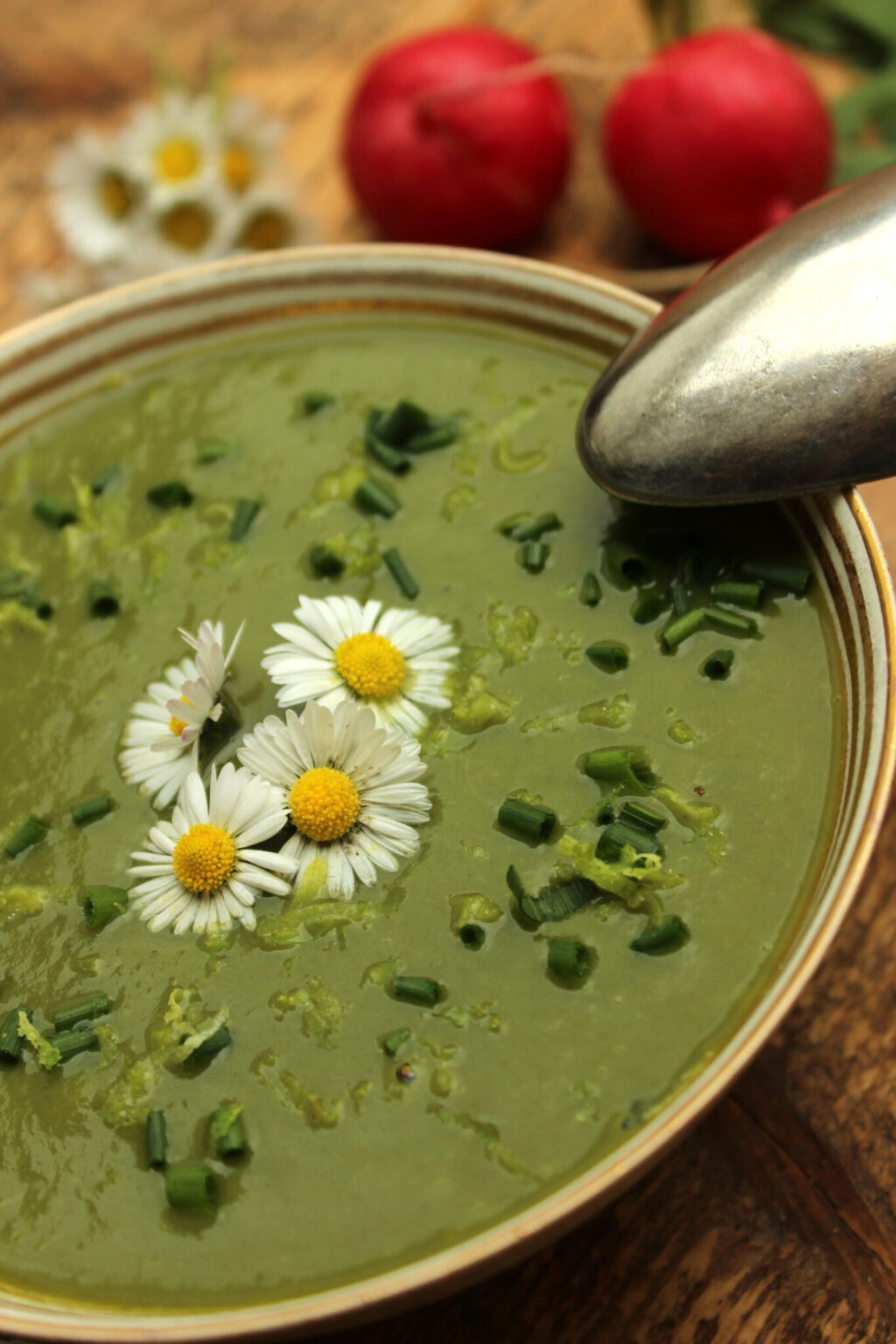 Detox-Suppe mit Spinat und Radieschenblättern - Claudia Earp