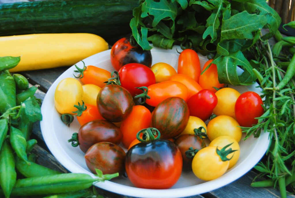 Tomaten, Bohnen, gelbe Zucchini, Ruccola, Gurke